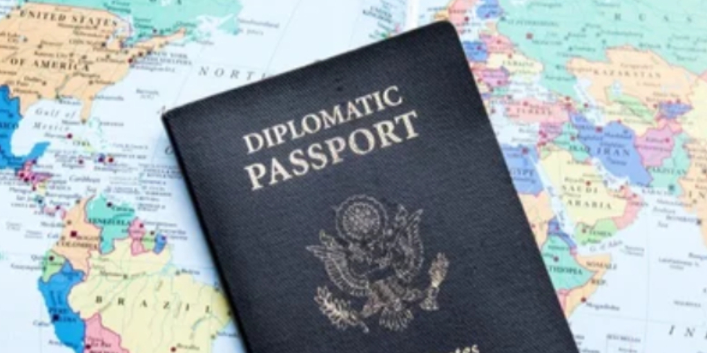 Diplomatic and Official Visa